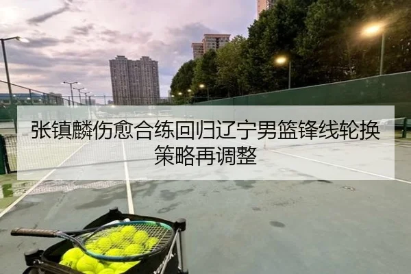 张镇麟伤愈合练回归辽宁男篮锋线轮换策略再调整（jiuyou）